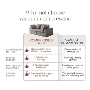 Sofá Compacto Reclinável a Vácuo para Apartamento, <span class=keywords><strong>2</strong></span> Lugares, Espuma Comprimida, Ideal para Dormitórios e Espaços Pequenos - Product Image 4