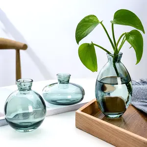 Home Decoration Glass Flower Vase Nordic Modern Vase Blue Green Clear Shaped Hydroponic Bud Glass Vase For Flower