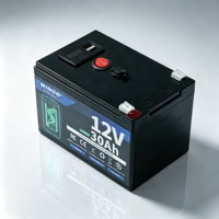Sel Baterai Lithium Iron Phosphate LiFePO4 12V 30Ah Paket Baterai LiFePO4 48V Opsional untuk Sistem Tenaga Surya