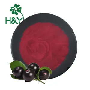 Hot Sale Best Price freeze-drying Acai Berry Extract powder