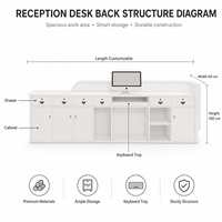 Bureau d'accueil moderne et personnalisé couleur macaron avec éclairage LED, finition écologique pour studio d'art, salle de lecture, salon de beauté