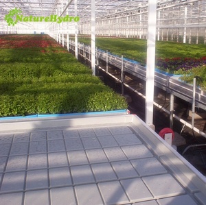 Bac de culture à flux et reflux pour l'agriculture commerciale, table de culture à inondation, banc roulant, étagères de culture - Product Image 5