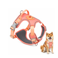 Kit de laisse et collier pour animaux de compagnie en nylon robuste, ajustable, pour chiens de petite, moyenne et grande taille, fournisseur
