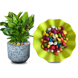 أحجار ملونة لتزيين أحواض السمك، حصى ملون للديكور، أحجار رصف، أحجار ملونة لأحواض الزهور - Product Image 1