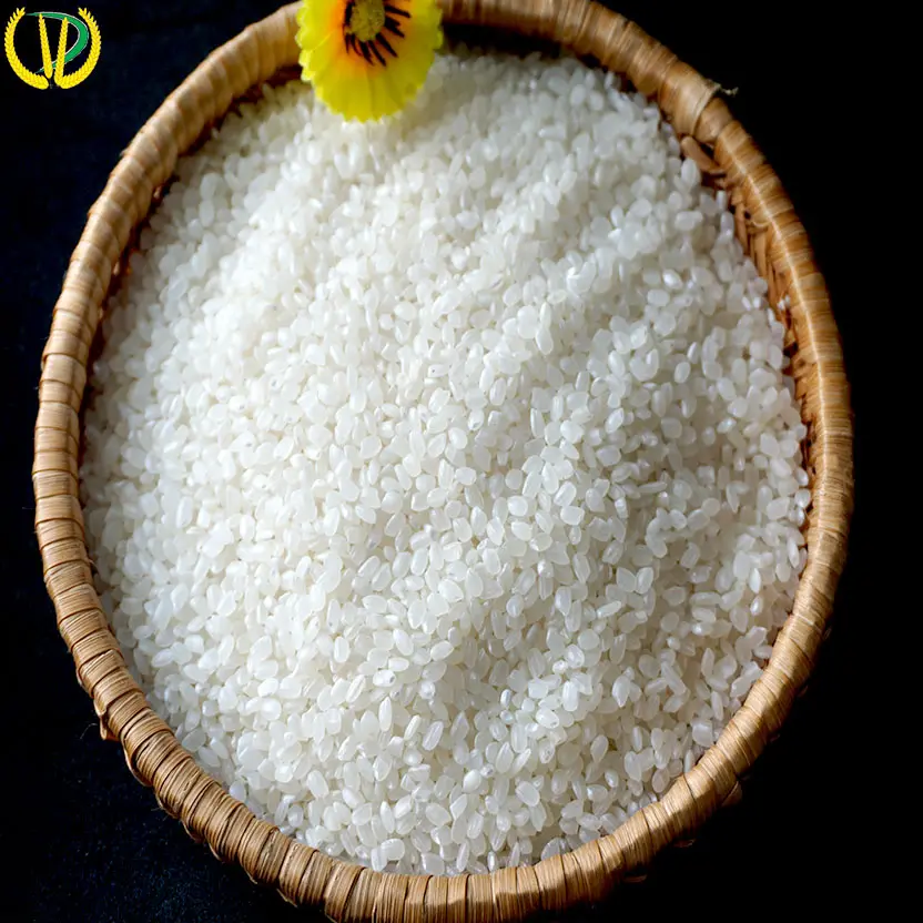 수출 준비 높은 인증 Japonica 쌀 라운드 씨앗 Toan Phat 베트남에서 짧은 곡물 흰 쌀