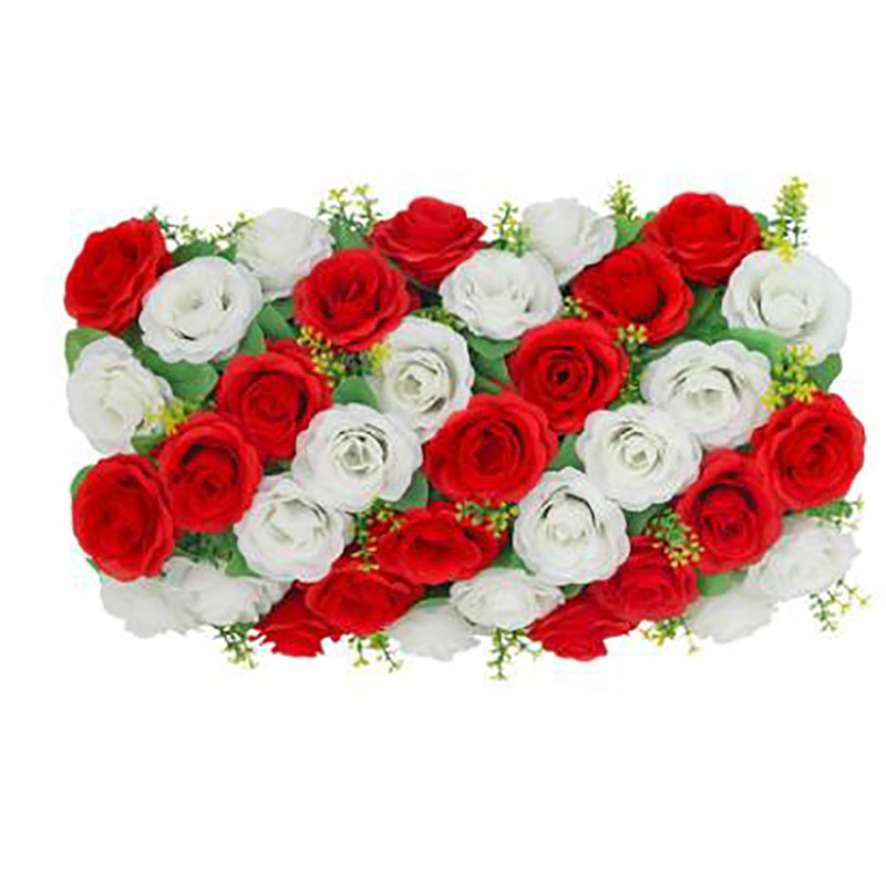 HQHP-3-1	Scarlet+Milk White/#1