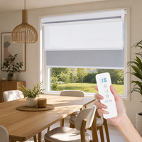 Stores à rouleaux doubles intelligents modernes, motorisés, jour et nuit, avec application WiFi Tuya pour salon et balcon