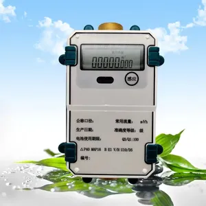 Stable Metrological Performance LoRaWAN Ultrasonic Water Meter DN15