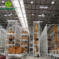 Sistema ASRS de Almacenamiento Logístico Automatizado con Racks de Paletización de Acero y HDPE de Alta Calidad Sinocube, Ahorro de Mano de Obra