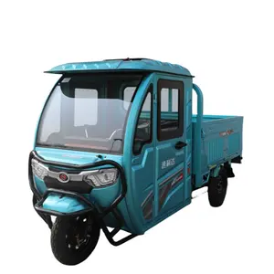 Popular 3 Wheel Electric Trike Enclosed Cabin Electric Cargo Tricycle