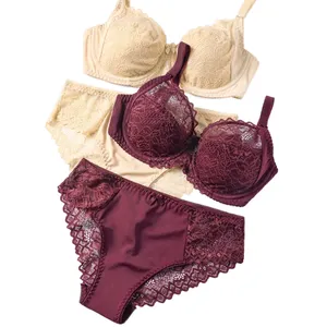 Nouveau modèle Ensemble de soutiens-gorge pour femmes Bonnets C Soutien-gorge brodé en dentelle pour femmes Vente en gros 2 pièces de sous-vêtements