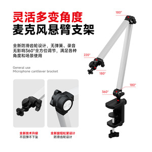 Desktop Microphone <b>Stand</b> 36cm Cantilever Arm With 38 Thread For <b>Recording</b> Streaming Karaoke - Product Image 2