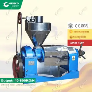 Công Nghiệp Cấp Camelia Hạt Giống Với Bộ Lọc Sử Dụng Dầu Thầu Dầu Máy Ép