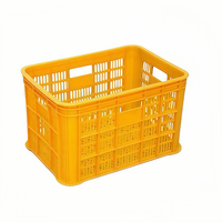 Molde de Plástico Personalizado para Cajas a Precio Económico