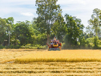 Moissonneuse-batteuse à riz GF28 de la marque chinoise Agriculture Machine