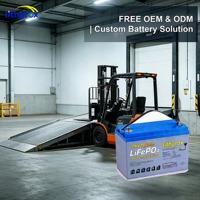 Sel LFP Kelas A 24V 100AH Baterai Pengganti Aki Timbal Asam untuk Kendaraan Terpandu Otomatis, Plug and Play, Bersertifikasi CE MSDS