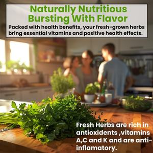 Kit de 5 variétés d'herbes, motif carré, fibres végétales, comprenant origan, coriandre, persil, <span class=keywords><strong>basilic</strong></span>, <span class=keywords><strong>ciboulette</strong></span> - Product Image 4