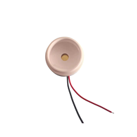 Alarme piézoélectrique passive blanche AT3017TL120MM à haut niveau sonore, buzzer 5V avec fil
