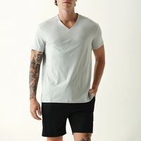 T-shirt basique personnalisé en gros à col en V et manches courtes pour homme, coupe ajustée décontractée, couleur unie, en coton à séchage rapide, idéal pour le sport et le streetwear