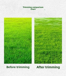 <span class=keywords><strong>Tondeuse</strong></span> autoportée professionnelle pour greens de golf, <span class=keywords><strong>à</strong></span> essence, quatre temps, avec bac de ramassage - Product Image 4