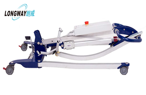 Engelli insanlar için 2025 sıcak satış elektrikli standart hasta asansörü vinç - Product Image 3