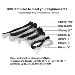CE بنفايات الذاتي قفل النايلون رباط للكابل 66 رباط للكابل البريدي التعادل 4 بوصة 6 بوصة 8 بوصة 10 بوصة 12 بوصة البلاستيك سلك التعادل البريدي التعادل - Product Image 2