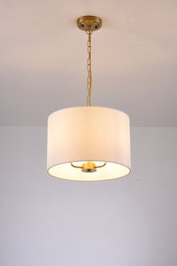 Abat-jour en rotin vintage minimaliste, design nordique, télécommande, économie d'énergie, AC 220V, lustre de restaurant - Product Image 5