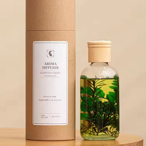 Diffuseur de parfum en verre Aikun Eco Friendly OEM 250ml à la fragrance d'eucalyptus avec boîte en tube pour la décoration de la salle de séjour et de la salle de lecture - Product Image 1