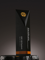 Coupe en cristal noir personnalisé de haute qualité Médaille d'honneur créative Excellent personnel Souvenirs Company Trophée en cristal décerné