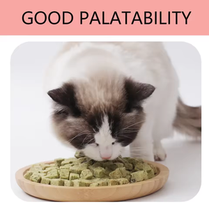 2025 nouvelles friandises innovantes pour animaux de compagnie <span class=keywords><strong>saumon</strong></span> lyophilisé et jaune d'oeuf Ingrédients de qualité supérieure pour les amis à fourrure friandises pour chats friandises pour chiens - Product Image 4