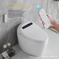Projet d'exportation - Certification CE UE - Toilette intelligente à commande à distance en acier inoxydable, à poser au sol, entièrement automatique