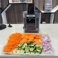 Uien-aardappel-commerciële voedselverwerker 3-in-1 elektrische multifunctionele groentehakker-snijder-snijmachine