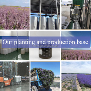 Aceite puro <span class=keywords><strong>de</strong></span> alta calidad para perfume, aceite esencial multiusos, fragancia <span class=keywords><strong>de</strong></span> ron, limón y coco, 1000ml - Product Image 6