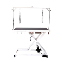 LZ Grandes tables de toilettage électriques à chaud pour chiens avec prise Table de toilettage pour chiens à vendre Groomer Pet Salon Pet Shop 1pcs