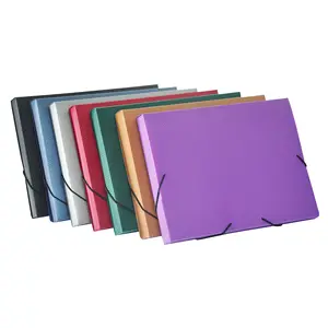 OEM पीपी फ़ाइल बॉक्स प्लास्टिक फ़ोल्डर विस्तार बटुआ मामले आयोजक दस्तावेज़ भंडारण धारक