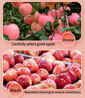 Heetverkopende Fuji Appel Knapperige Schijfjes/Vuile Vormpjes Zoete Gezonde Bulk/Vacuümverpakte Vriesgedroogde Fruitsnacks 5*5mm Kubus voor Wandelingen en Picknicks