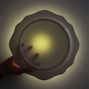 צלחות ערב לבן עם לקצץ כסף, עצם משובח סין צלחת מטען בצורת סדירה עבור מלונות 5 כוכבים חתונה - Product Image 2