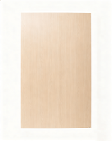 Porte intérieure contemporaine à panneau plat, finition mate, faible émission, résistante au déformage, durable, certifiée CE pour les ensembles résidentiels
