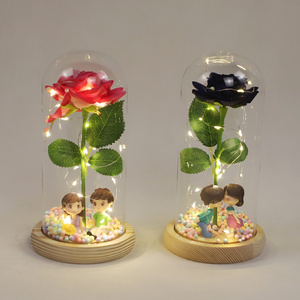Couple s'embrassant dans le dôme de verre Rose scintillante enchantée - Product Image 1