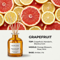 Diffuseur d'arômes sans flamme pour intérieur, parfum frais longue durée, désodorisant, design bâtonnets en rotin pour la maison