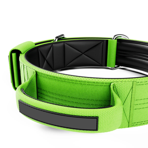 Gran oferta acolchado ajustable doble Pin perro deportivo al aire libre caminar correr senderismo actividades <span class=keywords><strong>Collar</strong></span> de nailon con asa - Product Image 6