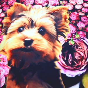 Bán buôn tùy chỉnh in bông nhà bếp trà rửa chén khăn nhanh khô mềm CuộN vuông mẫu dùng một lần tùy chọn - Product Image 5