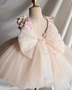 Robes <span class=keywords><strong>de</strong></span> demoiselles d'honneur florales beiges avec appliqués, robes <span class=keywords><strong>de</strong></span> première communion personnalisées, robes <span class=keywords><strong>de</strong></span> princesse pour séances photo et fêtes d'anniversaire - Product Image 2