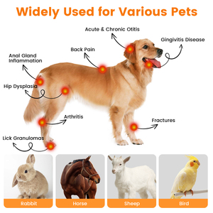 Mesin Laser Dingin untuk Anjing, Kucing, Kuda - Layar Sentuh, Dapat Disesuaikan, Pereda Nyeri & Garansi Seumur Hidup - Product Image 5