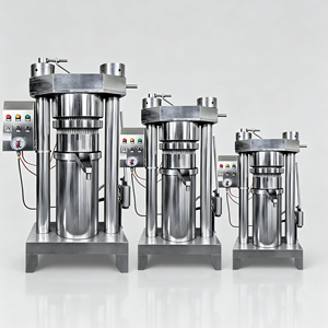 Presse à huile hydraulique entièrement automatique de haute qualité 22L pour l'extraction <span class=keywords><strong>d</strong></span>'huile <span class=keywords><strong>d</strong></span>'olive avec une efficacité élevée - Product Image 1