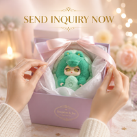 Boîte Mystère IA en Peluche Kawaii, Cadeau Surprise à Collectionner avec Yeux à Écran Tactile