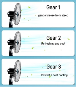 Nhà máy toàn Bộ bán 6000mAh pin lithium mạnh mẽ có thể sạc lại <span class=keywords><strong>fan</strong></span> hâm mộ năng lượng mặt trời <span class=keywords><strong>Fan</strong></span> 16 inch có thể sạc lại đứng <span class=keywords><strong>fan</strong></span> hâm mộ với ánh sáng <span class=keywords><strong>LED</strong></span> - Product Image 6