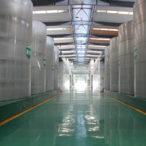 Cấp thực phẩm bạc hà có hương vị xi-rô không đường ngọt chất lỏng hương liệu đại lý với chất ổn định và chất làm đặc tên khác Stevia - Product Image 5