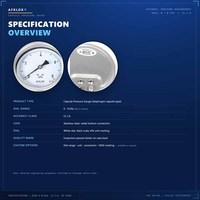 Hot Sale OEM Stainless Steel Customizable Bottom Back Connect Industrial Measuring Instruments with Oil Filling Pressure Gauge