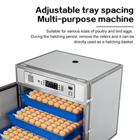 Incubateur automatique intelligent 240 œufs, double alimentation (220V/12V), pour l'éclosion de plusieurs oiseaux : poulet, canard, oie, caille